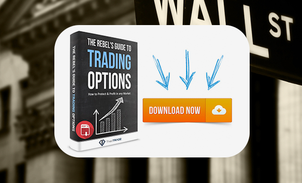 Rebel's Guide to Options Trading Report